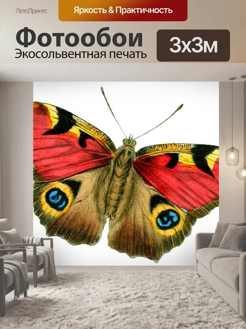 Фотообои Бабочка