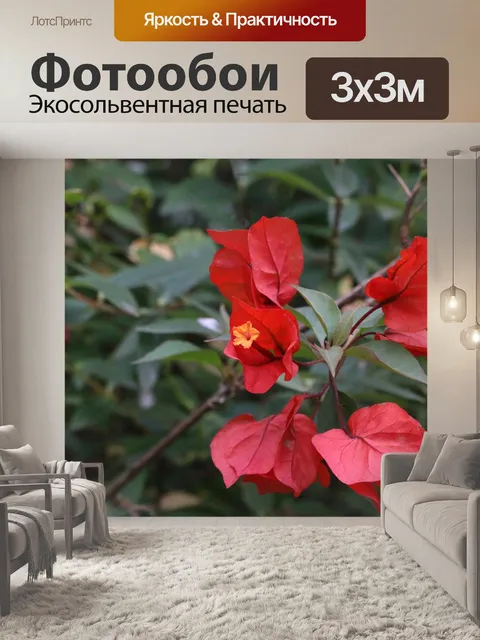 Фотообои Цветы