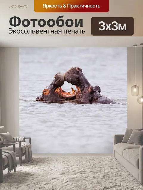 Фотообои Бегемот