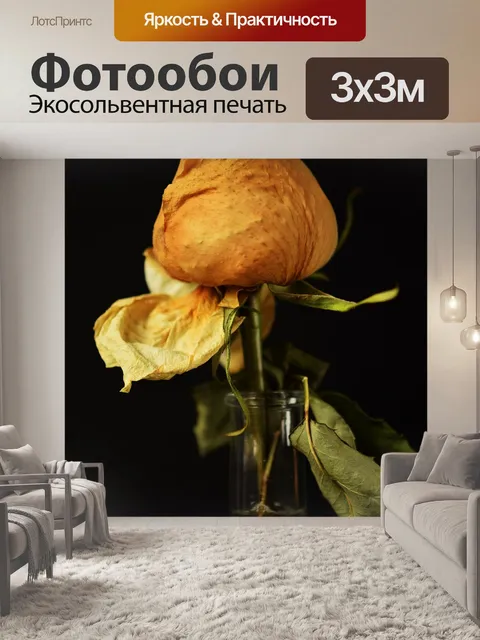 Фотообои Роза