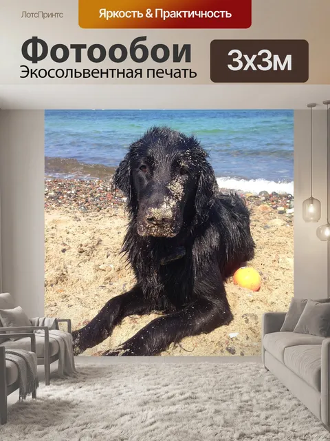 Фотообои Пляж