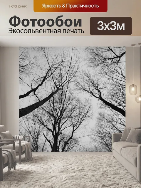 Фотообои Деревья