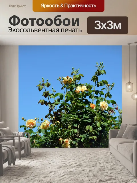 Фотообои Розы