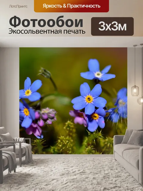 Фотообои Расцветает