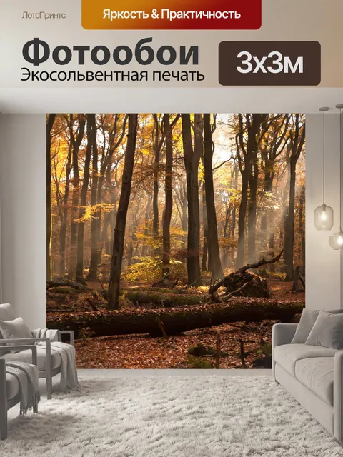 Фотообои Лес утром