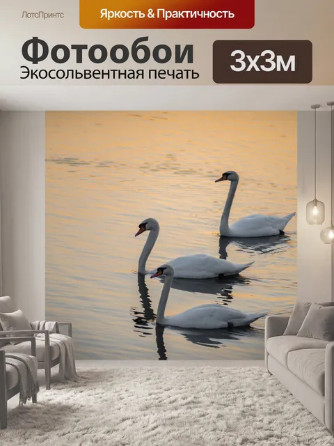 Фотообои Лебеди
