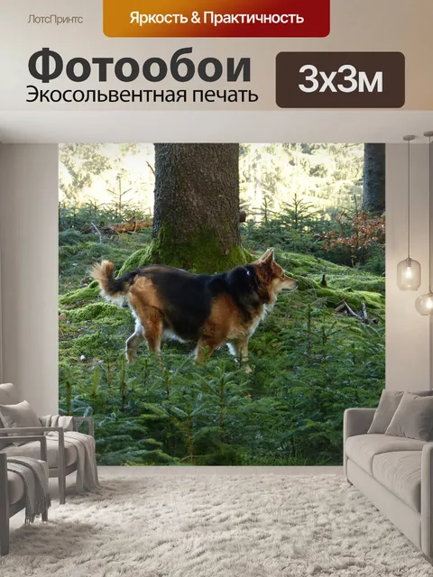 Фотообои Лес