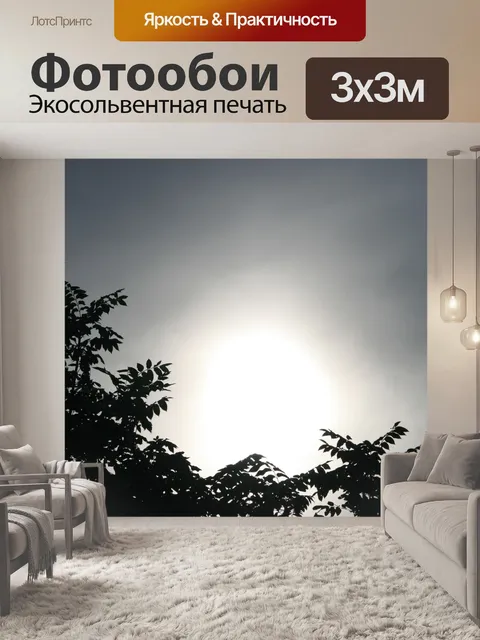 Фотообои туманно солнце над деревьями