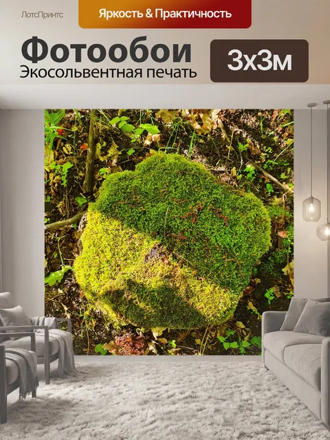 Фотообои Лес