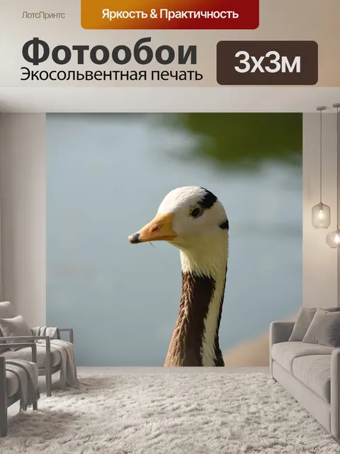 Фотообои Животное