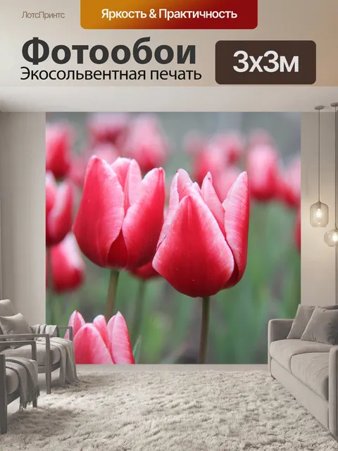 Фотообои Тюльпаны