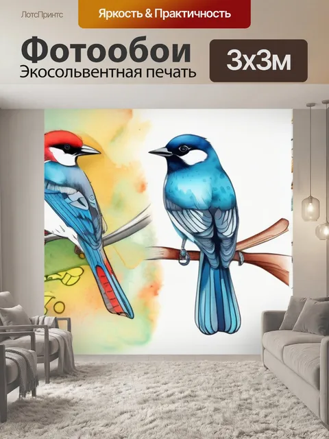 Фотообои раскраска птицы