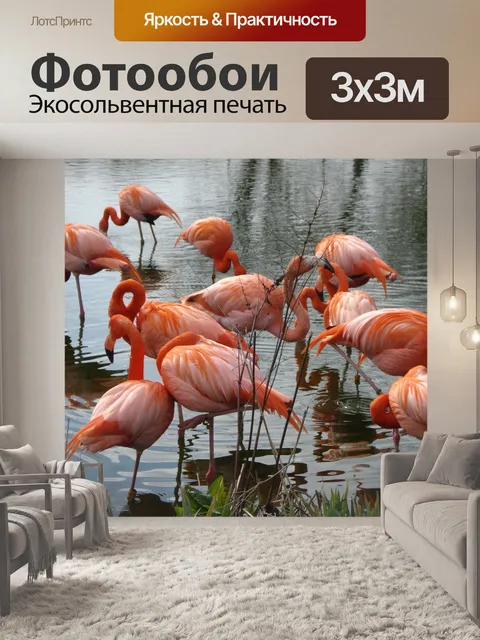Фотообои Птицы