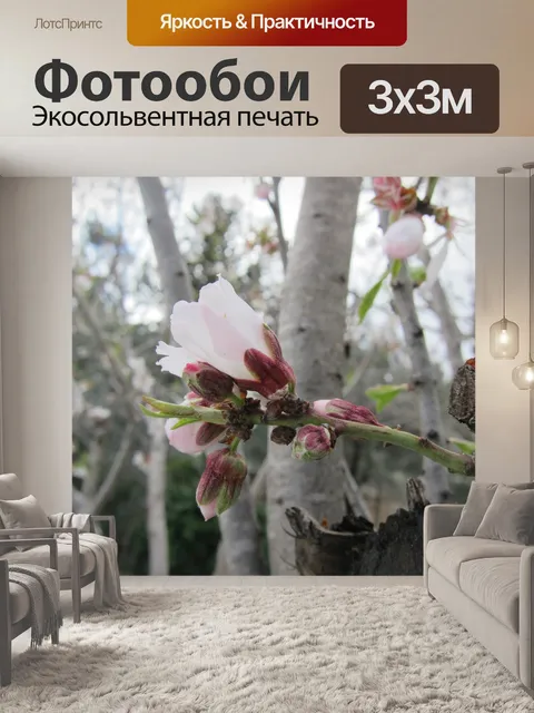 Фотообои природа, дерево, цветы