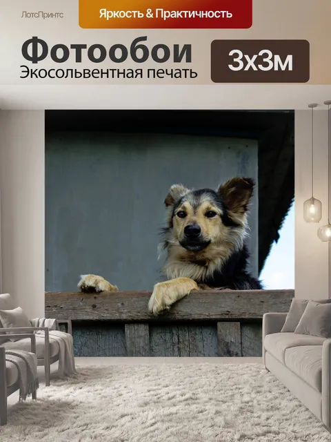 Фотообои Дом