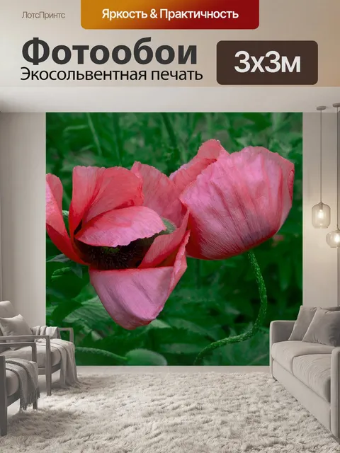 Фотообои Маки
