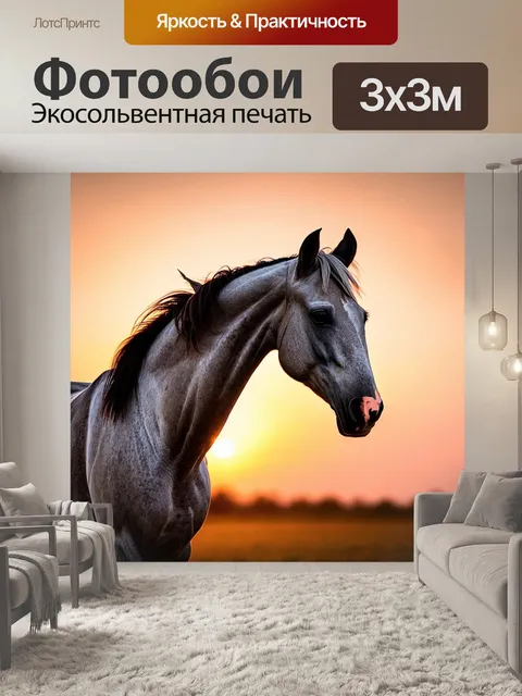 Фотообои животные в стиле минимализм с элегантной серой лошадью на фоне заката