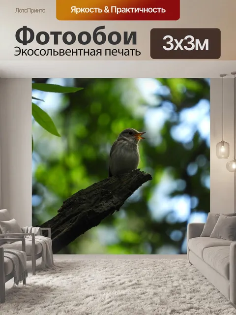 Фотообои Птица