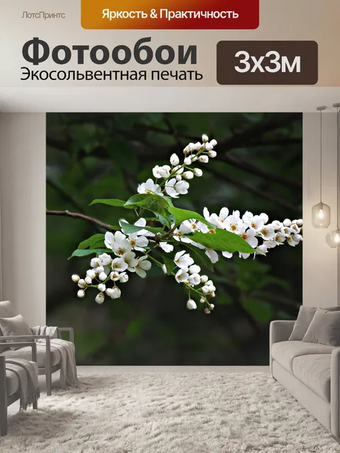 Фотообои Весна