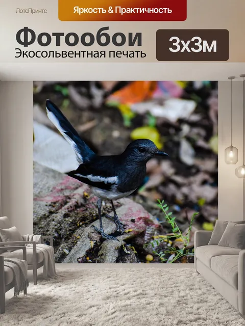 Фотообои Птица