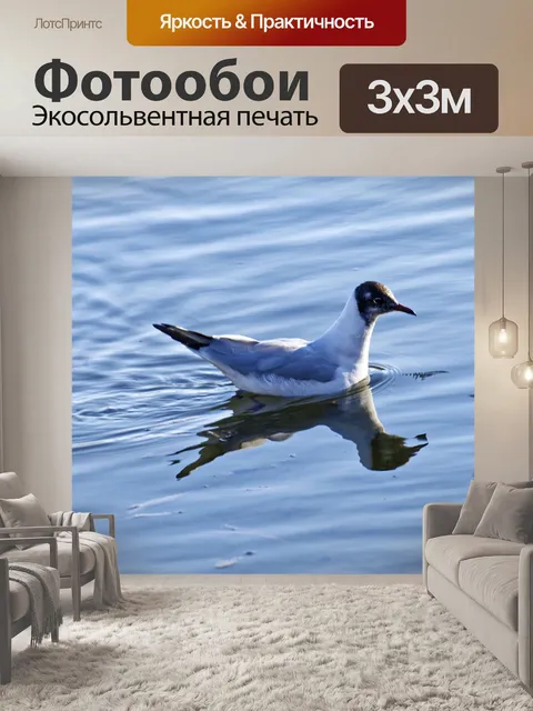 Фотообои Птица