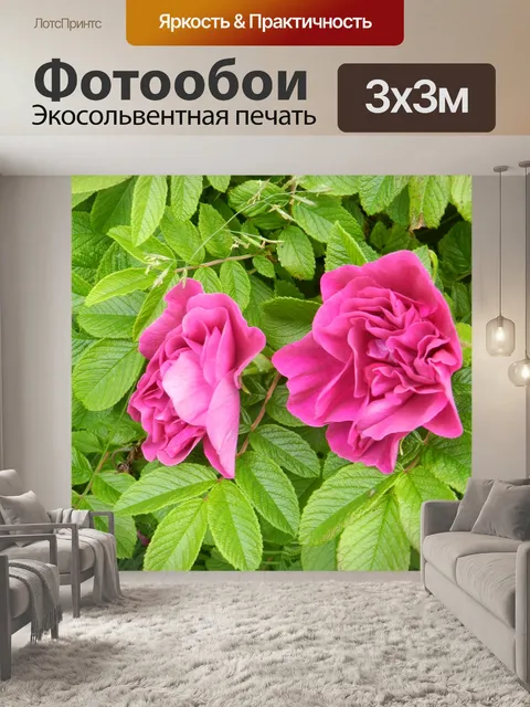 Фотообои Дикая роза 1