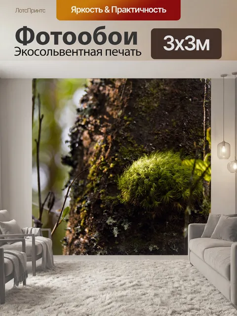 Фотообои Красочный Мосс