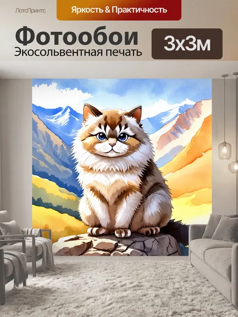 Фотообои изображение манула, сидящего на скале, освещенное мягким утренним светом