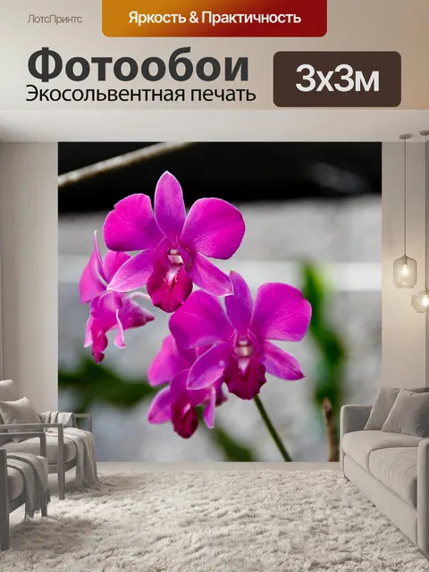 Фотообои Орхидеи