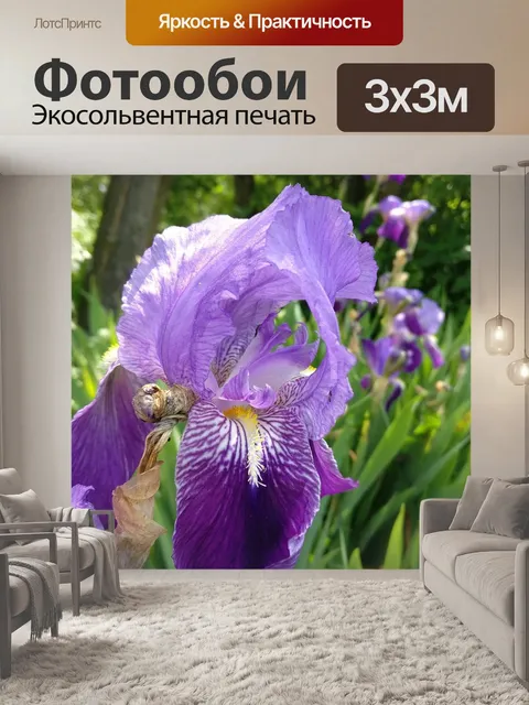 Фотообои Цветок