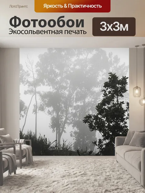 Фотообои Туман