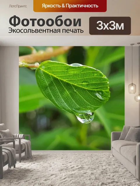 Фотообои Лист