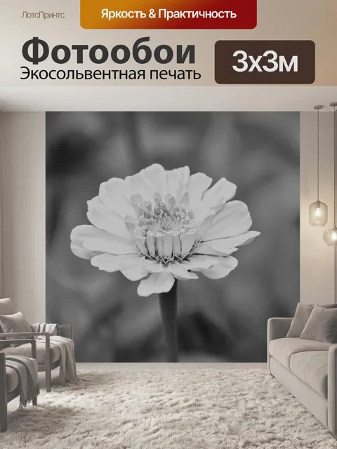 Фотообои Цветок