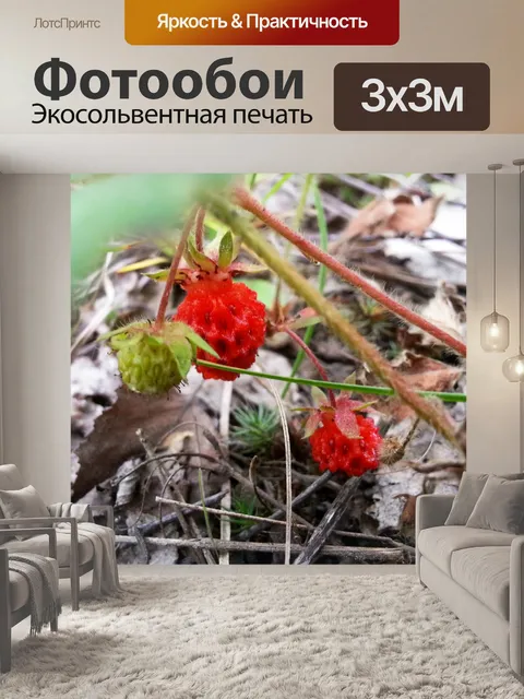 Фотообои Лесная земляника