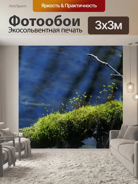 Фотообои Филиал