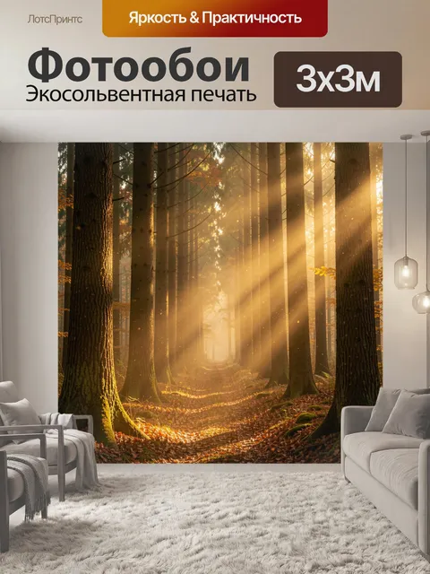 Фотообои Солнечные лучи в осеннем лесу