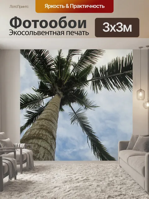 Фотообои Пальма