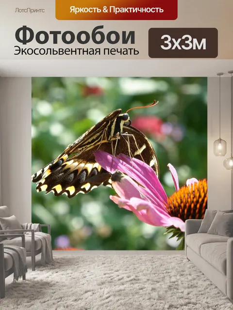 Фотообои Махаон Бабочка на цветы