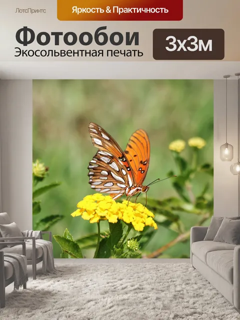 Фотообои Оранжевая бабочка на цветке