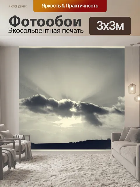 Фотообои Деревья без листьев