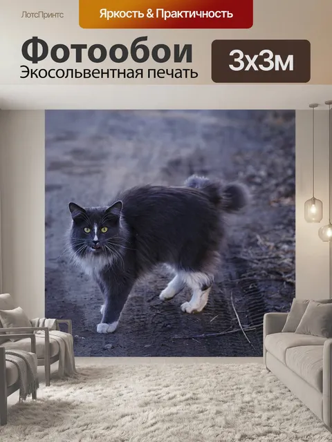 Фотообои Кошка