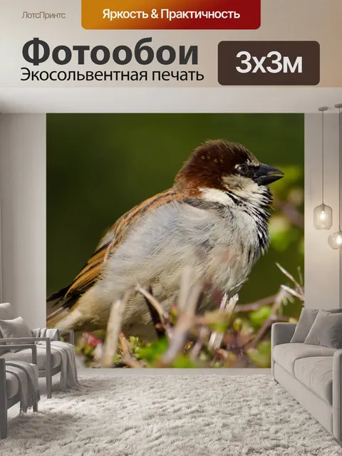 Фотообои Птица