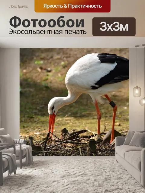 Фотообои Аист