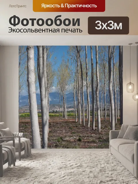 Фотообои Деревья