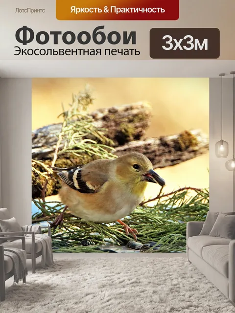 Фотообои Женский золотой щипчик крупным планом