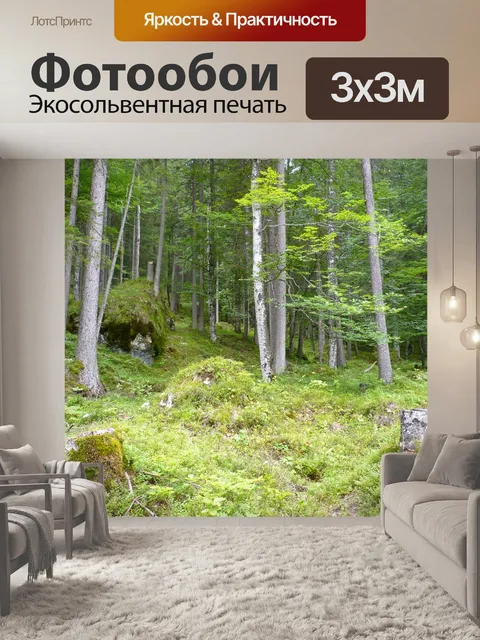 Фотообои Лес