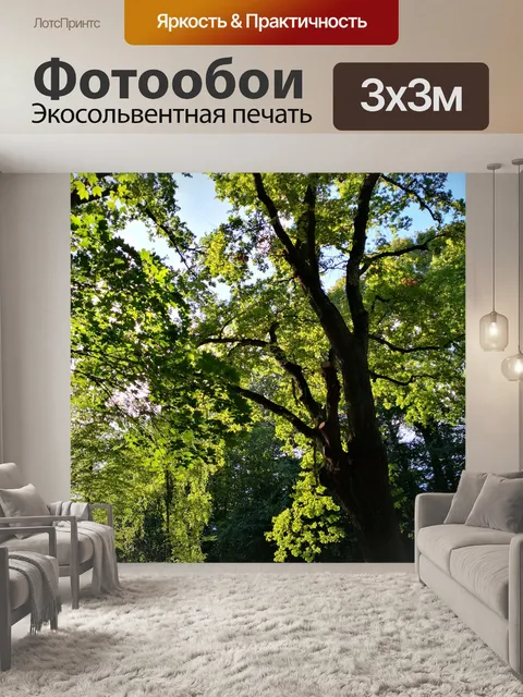 Фотообои Дерево