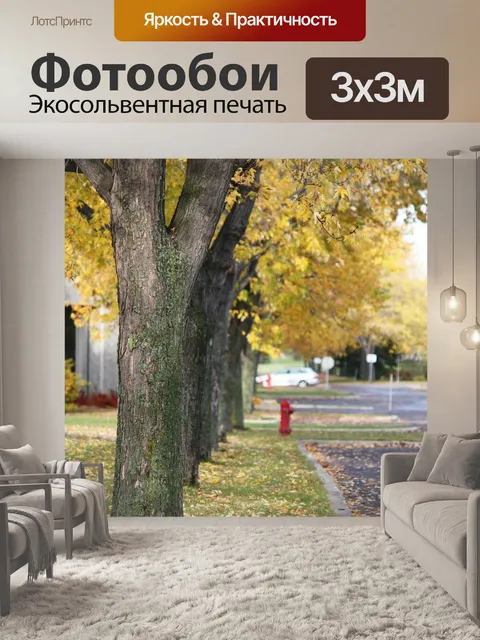 Фотообои Деревья