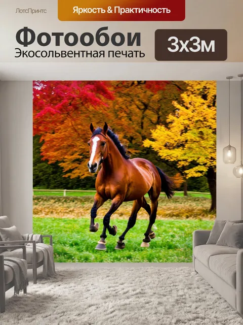 Фотообои лошадь, бегущая по полю в яркий осенний день, с красными и желтыми листьями