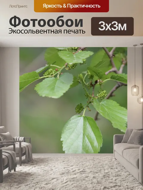 Фотообои Ягода